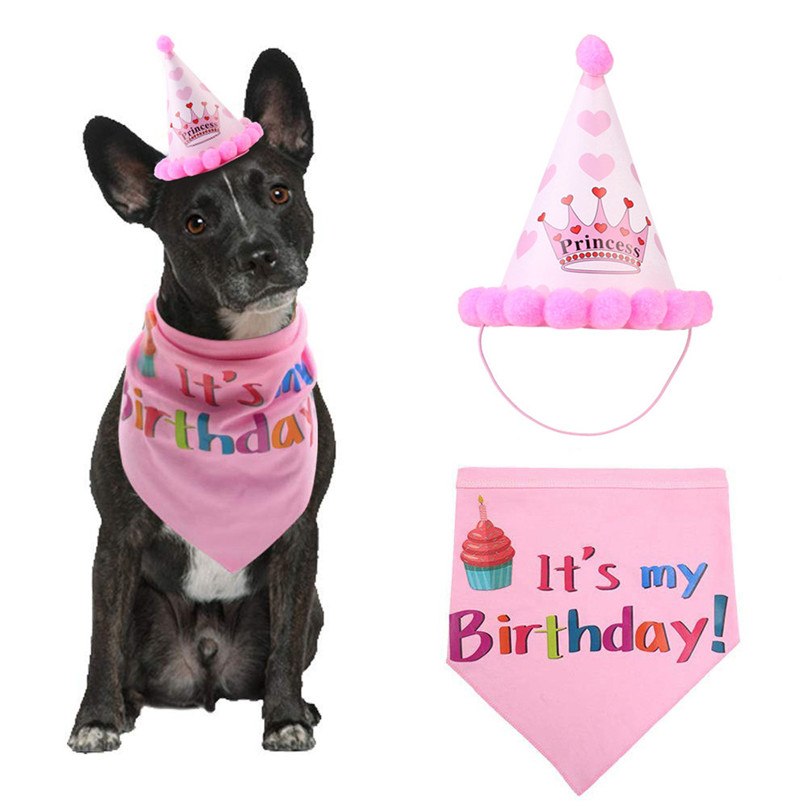 Pet Birthday Party Costume