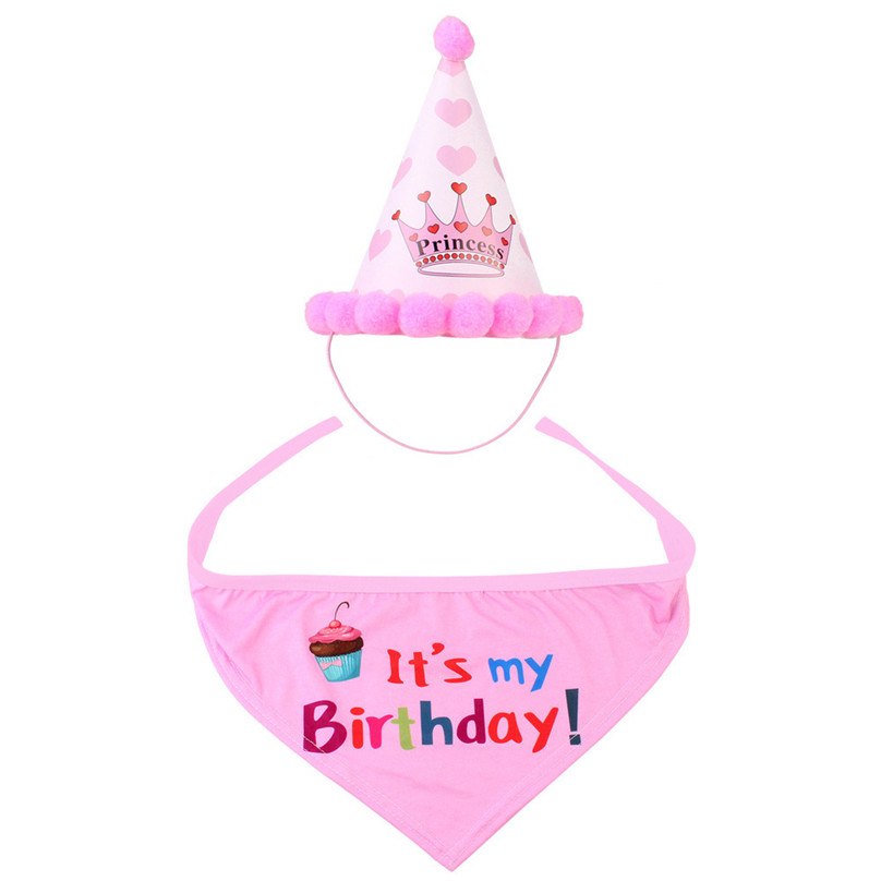 Pet Birthday Party Costume