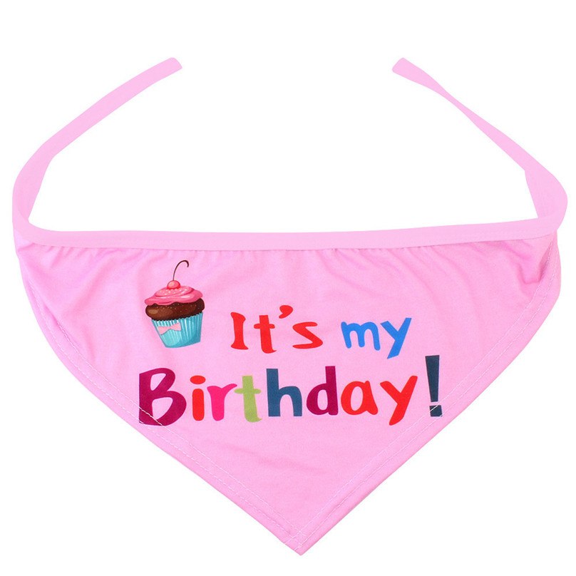 Pet Birthday Party Costume
