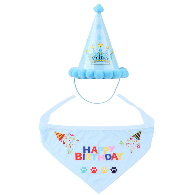 Pet Birthday Party Costume