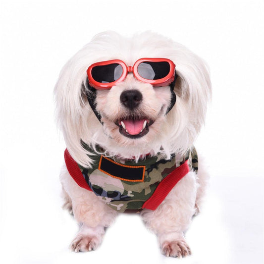 Gafas de sol para proteger los ojos de las mascotas