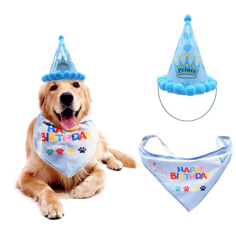 Pet Birthday Party Costume
