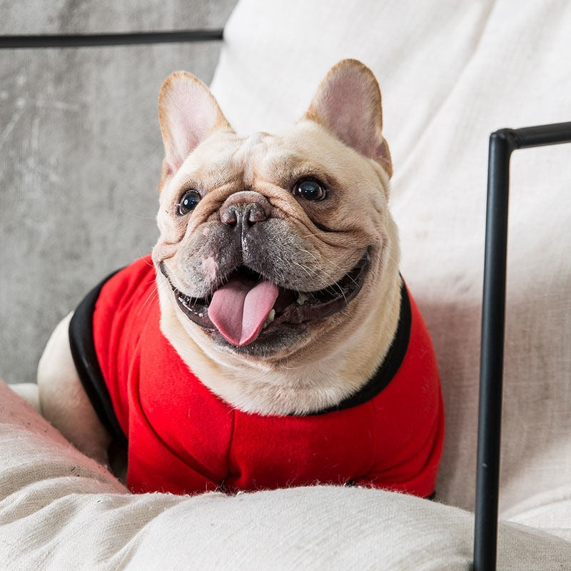 Fadou Clothes For Bulldog